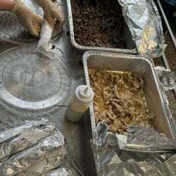 Lady’s shawarma Sale