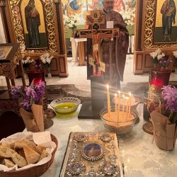 WhatsApp Image 2024-01-07 at 10.06.35 PM